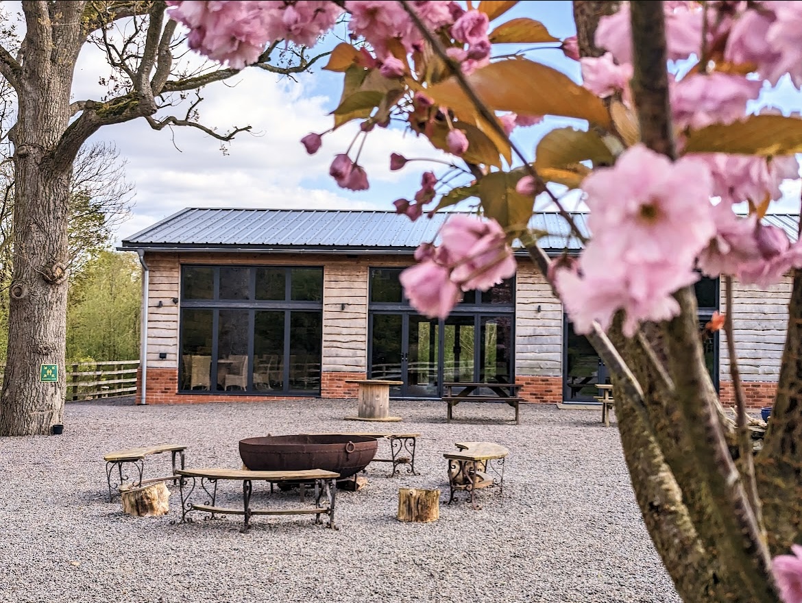 Energy healing session with Ryan Jones